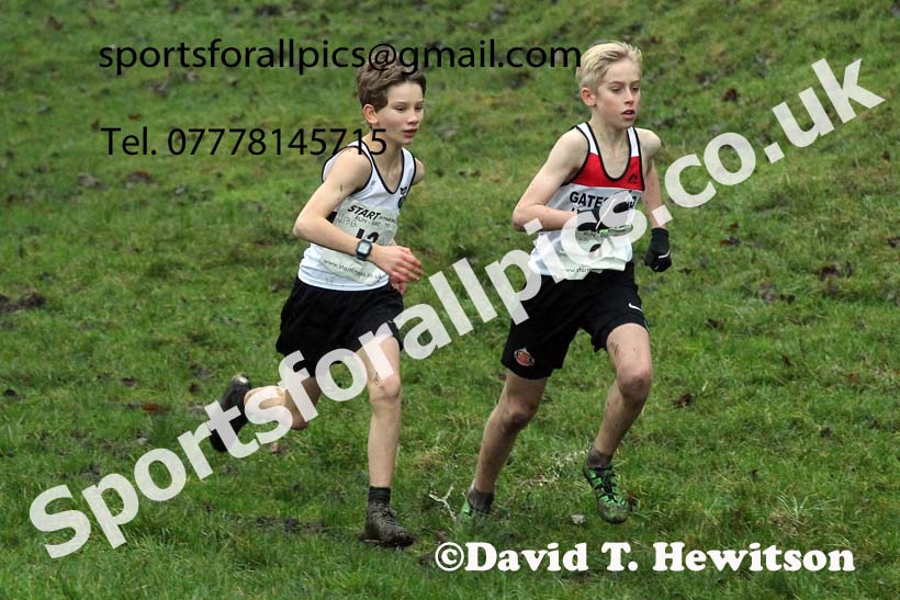 Boys under-13s, NECAA Junior Cross Country Relays, Thornley Farm, Peterlee, Saturday, December 12th. Photo: David T. Hewitson/Sports for All Pics